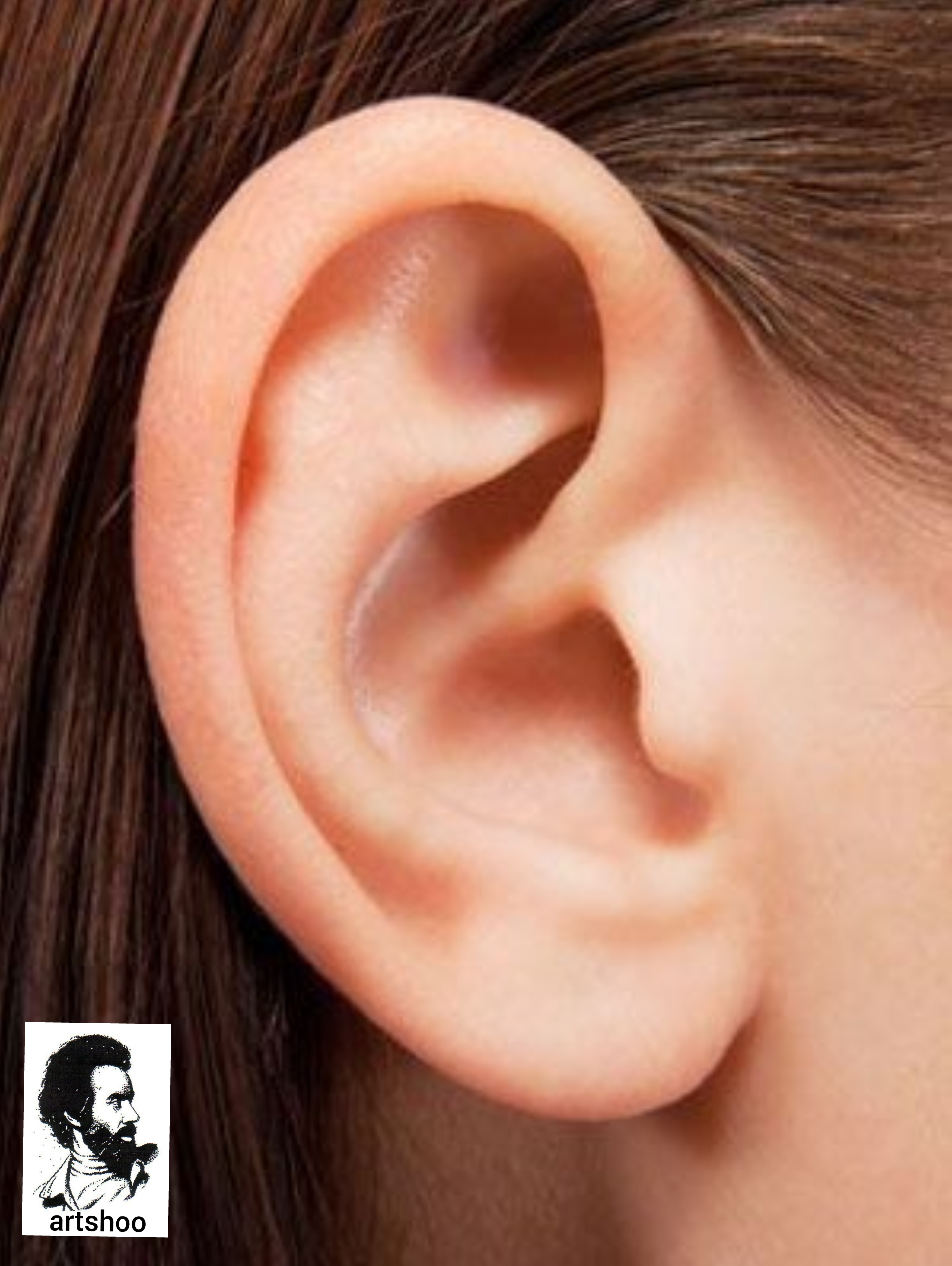مدل سیاه قلم اورژینال